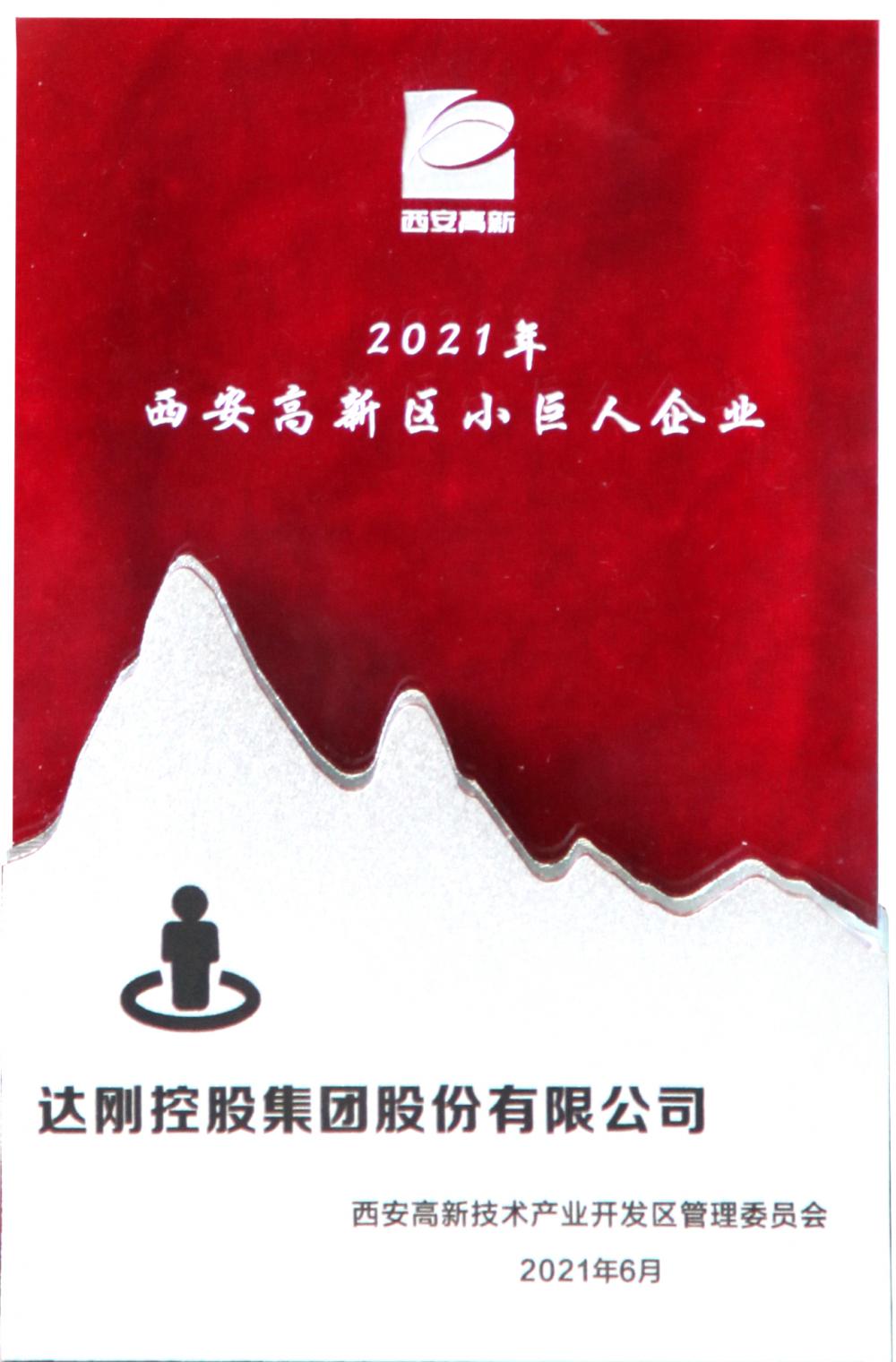 2021年西安高新區(qū)小巨人企業(yè)